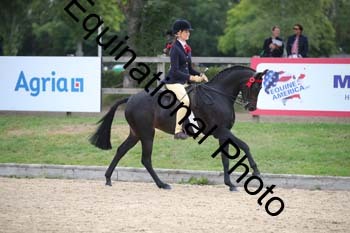FIV-1681