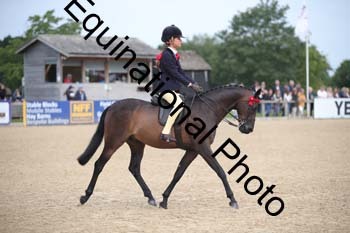 FIV-1707