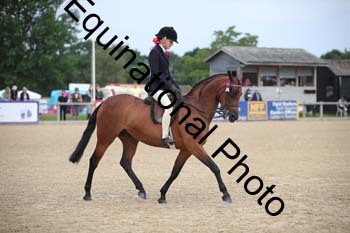 FIV-1720