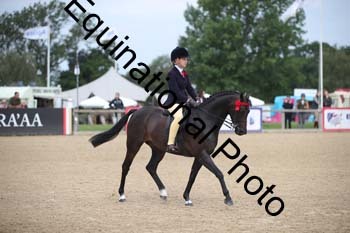 FIV-1721