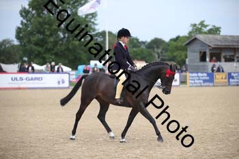 FIV-1722