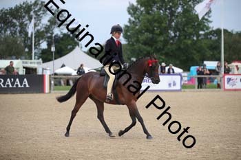FIV-1727
