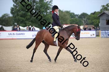 FIV-1739