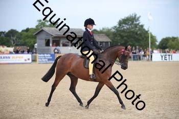 FIV-1750