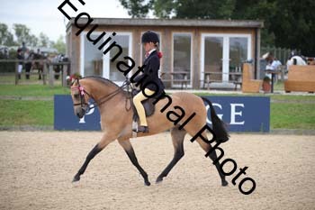 FIV-1760