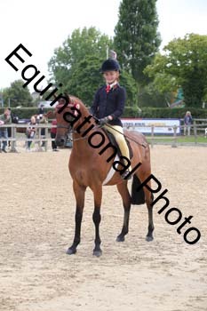 FIV-1761