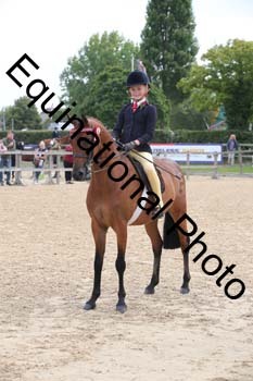 FIV-1762