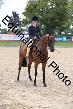 FIV-1791