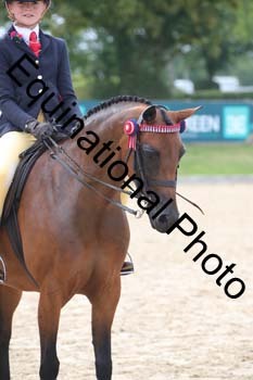 FIV-1795