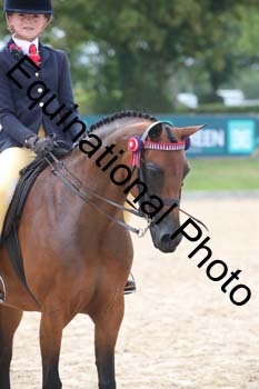 FIV-1796