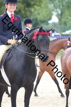 FIV-1808