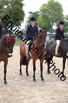 FIV-1837