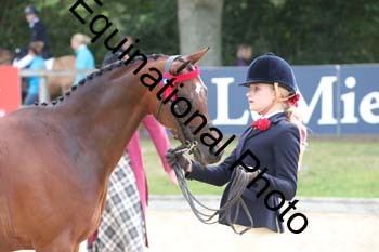 FIV-1887