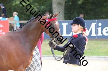 FIV-1888