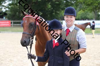 FIV-1899