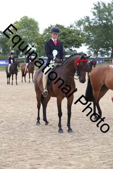 FIV-2011