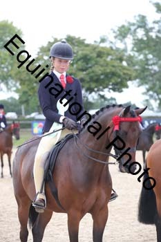 FIV-2013