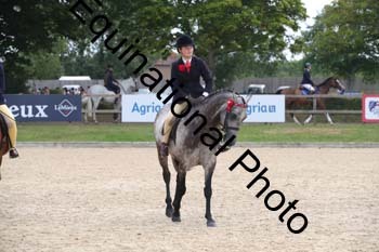 1_FIV-2463