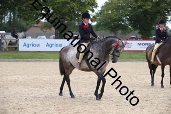 1_FIV-2464