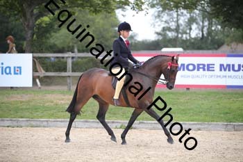 FIV-2100