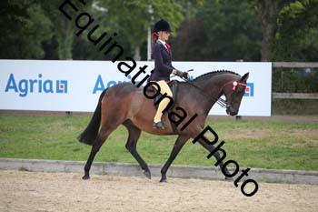 FIV-2102