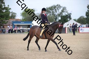 FIV-2190