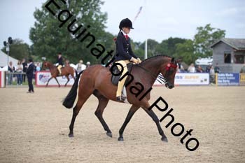 FIV-2200