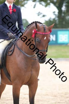 FIV-2350