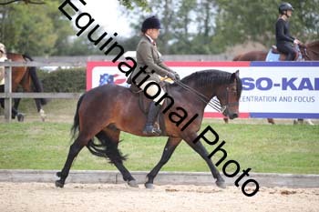 FIV-2598
