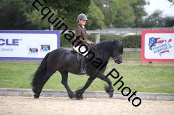 FIV-2641