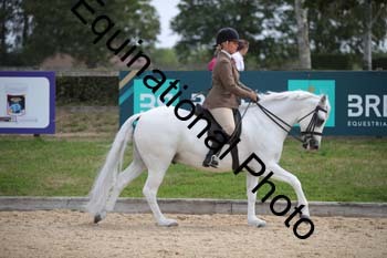 FIV-2695