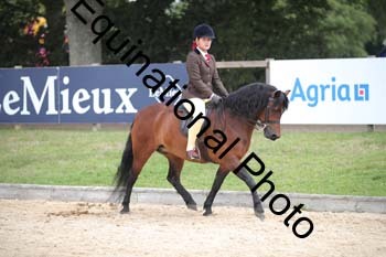 FIV-2710
