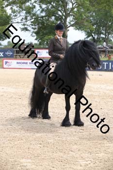 FIV-2850