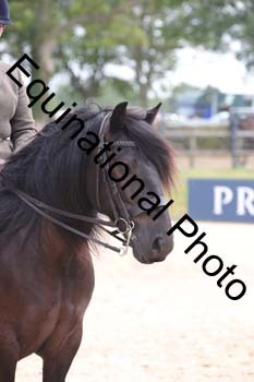 FIV-2878