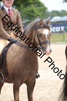 FIV-2901