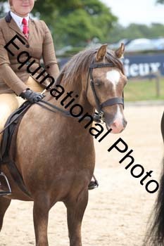 FIV-2902