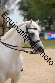 FIV-2925