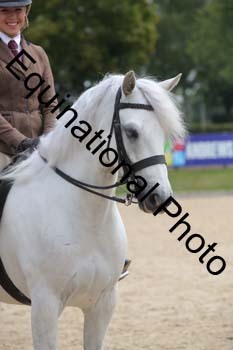 FIV-2980