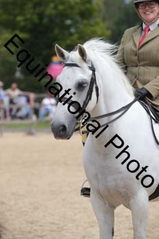 FIV-2997