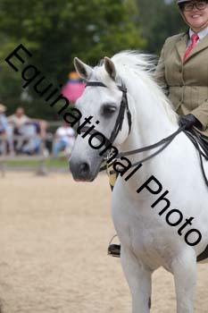 FIV-2998