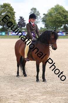 FIV-3070
