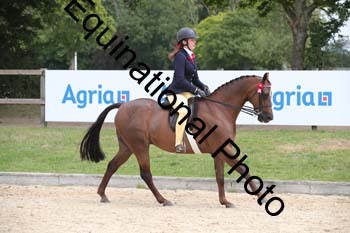 FIV-3200