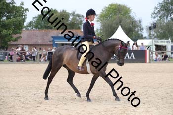 FIV-3222