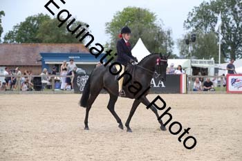 FIV-3232