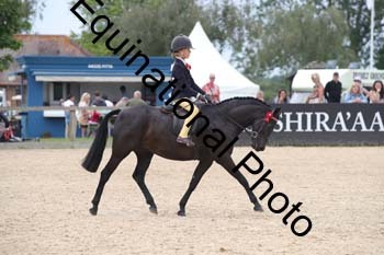 FIV-3301