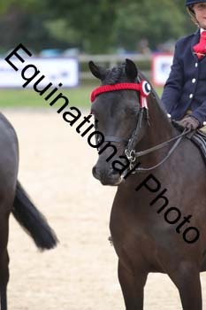 FIV-3399