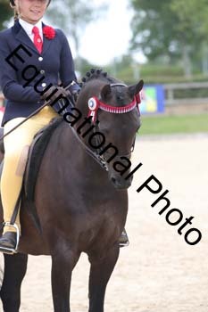 FIV-3500