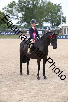FIV-3606