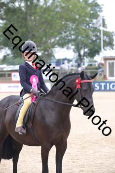 FIV-3609
