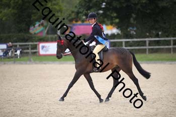 FIV-3652